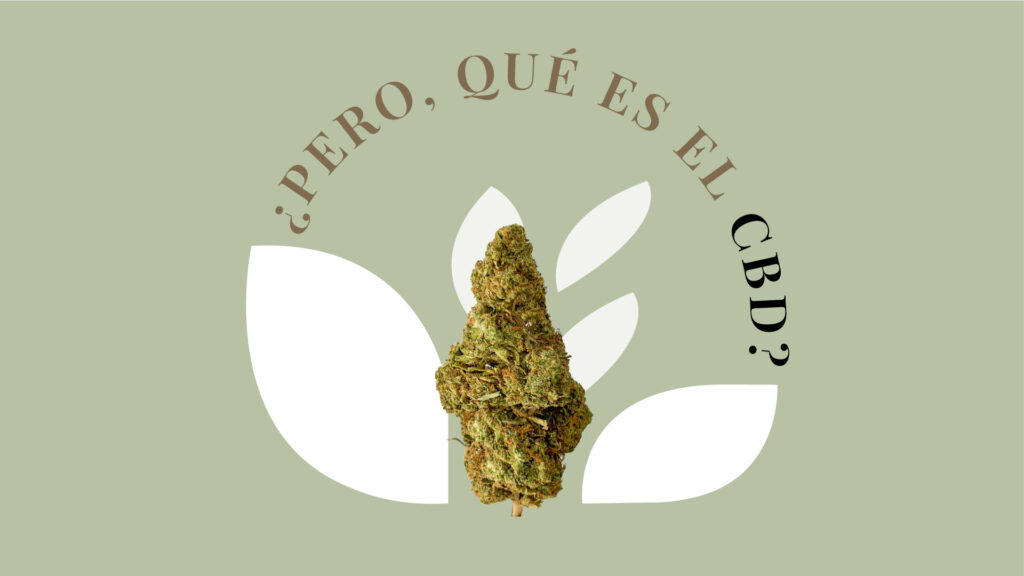 ¿PERO, QUÉ ES EL CBD?